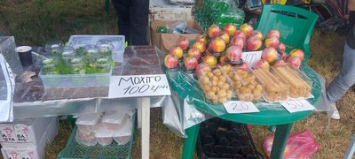На вторговані гроші волонтери придбають дрони для ЗСУ На вторговані гроші волонтери придбають дрони для ЗСУ