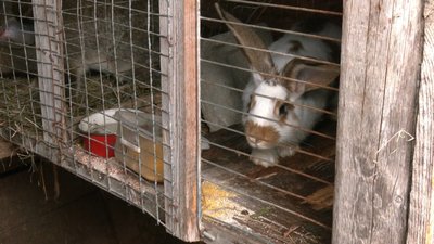 Благодійники надають жителям Хмельниччини кошти на започаткування домашнього господарства Благодійники надають жителям Хмельниччини кошти на започаткування домашнього господарства