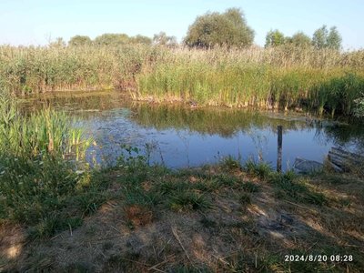 Рівень води у річках Полтавщини близький до критичного: до чого це може при призвести Рівень води у річках Полтавщини близький до критичного: до чого це може при призвести