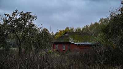 Єдина жителька перейменованого села на Чернігівщині: як вона живе Єдина жителька перейменованого села на Чернігівщині: як вона живе