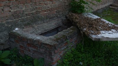 “Комарі, черв’яки, сморід, вікна не відкриєш": чому мешканці будинку у Сумах змушені жити в антисанітарних умовах “Комарі, черв’яки, сморід, вікна не відкриєш": чому мешканці будинку у Сумах змушені жити в антисанітарних умовах
