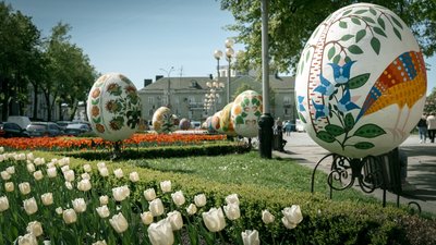 Розквітла алея сакур у Рівному. Фоторепортаж Розквітла алея сакур у Рівному. Фоторепортаж
