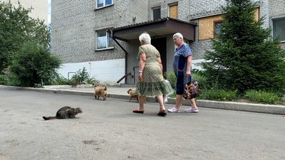 “Лишилися удвох”. Історія сусідок, які виживають у розбитій обстрілами багатоповерхівці на Донеччині “Лишилися удвох”. Історія сусідок, які виживають у розбитій обстрілами багатоповерхівці на Донеччині