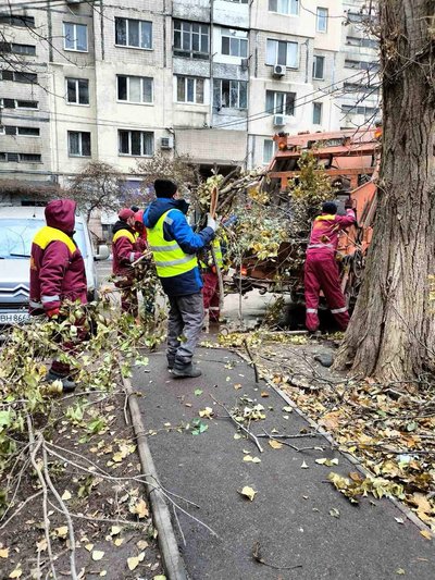 В Одесі після негоди залишаються поваленими дерева та великі гілки на 86 локаціях — мерія В Одесі після негоди залишаються поваленими дерева та великі гілки на 86 локаціях — мерія