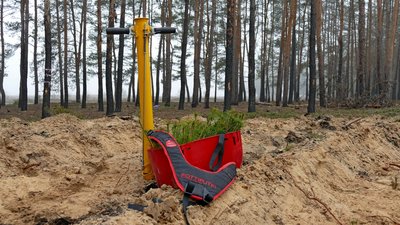 У Лиманській громаді на місці знищеного лісу висадили сосни У Лиманській громаді на місці знищеного лісу висадили сосни