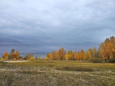 Золотаво-багряний і малолюдний: якй вигляд має осінній Дніпро — фоторепортаж Золотаво-багряний і малолюдний: якй вигляд має осінній Дніпро — фоторепортаж