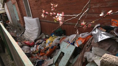 Тримає 14 собак в будинку у середмісті та вигулює їх без намордників: чернігівці поскаржились на сусіда поліції Тримає 14 собак в будинку у середмісті та вигулює їх без намордників: чернігівці поскаржились на сусіда поліції