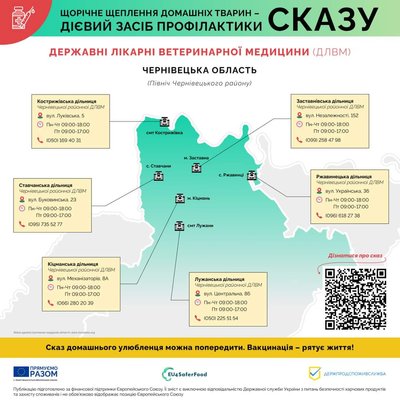 Де на Буковині можна безплатно вакцинувати тварин проти сказу – перелік адрес Де на Буковині можна безплатно вакцинувати тварин проти сказу – перелік адрес