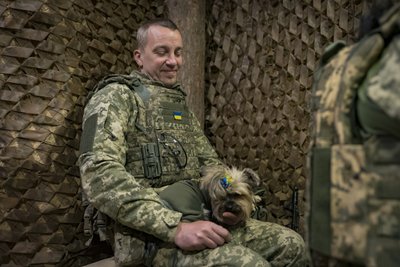 Проводять тренінги та зоотерапію. Як працює група контролю бойового стресу 108 бригади ТрО Проводять тренінги та зоотерапію. Як працює група контролю бойового стресу 108 бригади ТрО