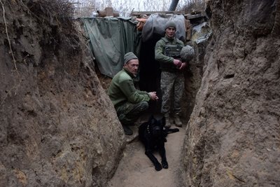 Воюють разом з нами: воїни 30 бригади з Житомирщини показали своїх фронтових тварин Воюють разом з нами: воїни 30 бригади з Житомирщини показали своїх фронтових тварин