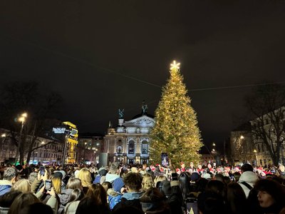 Головна ялинка Львова 2025-2026 Головна ялинка Львова 2025-2026