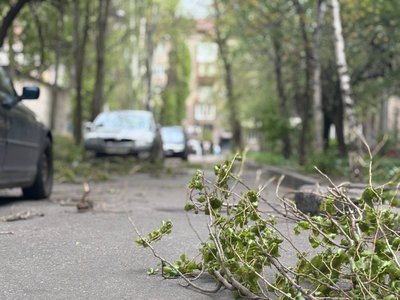 Негода в Запоріжжі: сильний вітер вирує містом Негода в Запоріжжі: сильний вітер вирує містом