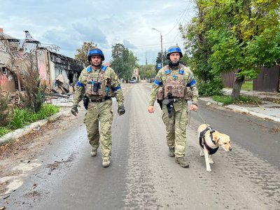 На Донеччині службові собаки допомогли знайти більше тисячі вибухових пристроїв На Донеччині службові собаки допомогли знайти більше тисячі вибухових пристроїв