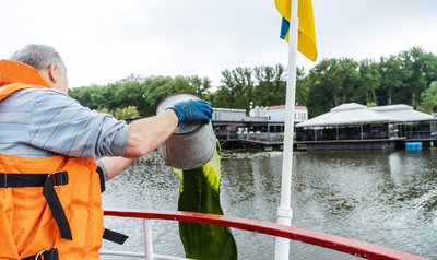 Водорості хлорели