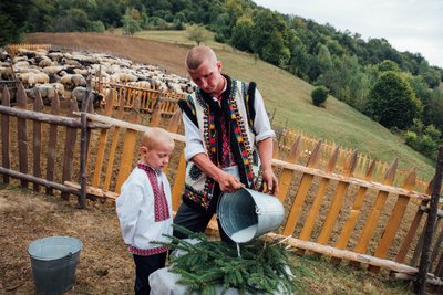 Сир, бриндза Сир, бриндза