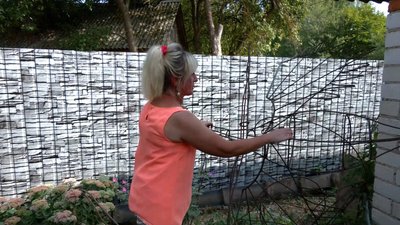 Ананаси на яблуні та глечик, із якого витікають незабудки: як свій дім на "казку" перетворила жителька Чернігівщини