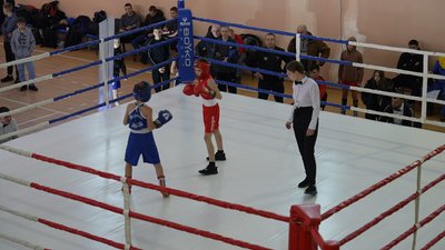 У Сумах відбувся чемпіонат області з боксу У Сумах відбувся чемпіонат області з боксу