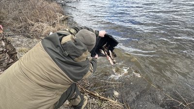Інспектор випускає рибу у водойму Інспектор випускає рибу у водойму