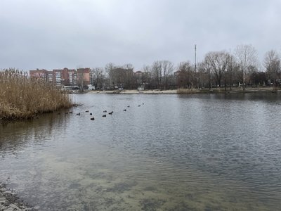 "Невеликі опади і зниження температури": якою буде погода на початку 2025-го на Полтавщині "Невеликі опади і зниження температури": якою буде погода на початку 2025-го на Полтавщині