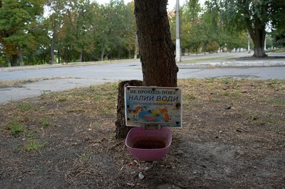 налий воду вуличним тваринам