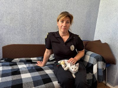 "Тремтів, як людина": яка доля кошеняти, врятованого слідчою з-під завалів після обстрілу Кривого Рогу "Тремтів, як людина": яка доля кошеняти, врятованого слідчою з-під завалів після обстрілу Кривого Рогу