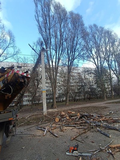 У Харкові через вітер впали дерева У Харкові через вітер впали дерева