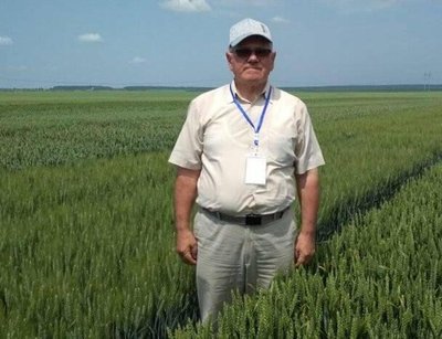 поле, озимина, Федір Гагрень поле, озимина, Федір Гагрень