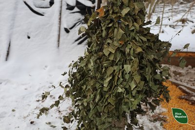 На Полтавщині лісники під час морозів посилено підгодовують диких тварин На Полтавщині лісники під час морозів посилено підгодовують диких тварин