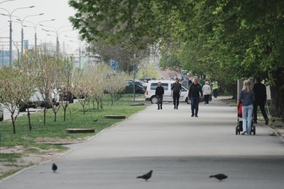 Квітучі сакури на проспекті Аерокосмічному у Харкові, 23 квітня 2025 року