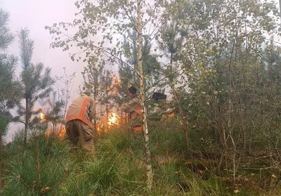 Під час третьої лісової пожежі на Волині вигоріла площа понад 10 гектарів