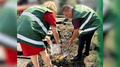 Екоінспектори беруть проби ґрунту для дослідження Екоінспектори беруть проби ґрунту для дослідження
