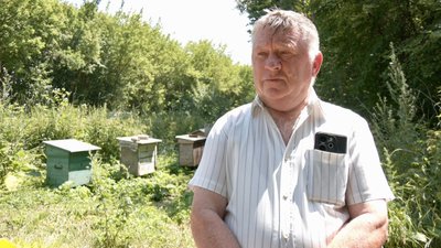 Микола Бойко, пасічник, на Тернопільщині загинули бджоли, 17 липня 2026 року Микола Бойко, пасічник, на Тернопільщині загинули бджоли, 17 липня 2026 року