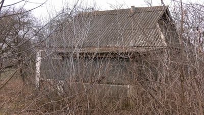 У селі Андронівка багато покинутих хат У селі Андронівка багато покинутих хат