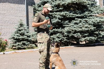 «Їй це дуже подобається»: як службова вівчарка Бета шукає наркотики на Миколаївщині