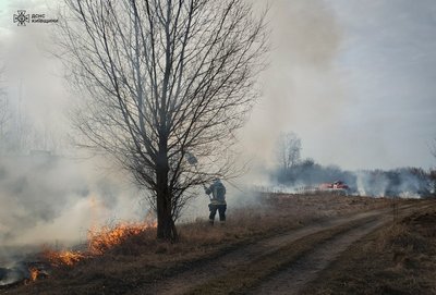 Пожежі в екосистемах Київщини: за одну добу вигоріли близько 10 гектарів території Пожежі в екосистемах Київщини: за одну добу вигоріли близько 10 гектарів території
