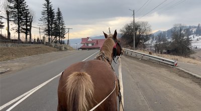Василь Молдавчук возить туристів на своїй кареті з конем Василь Молдавчук возить туристів на своїй кареті з конем