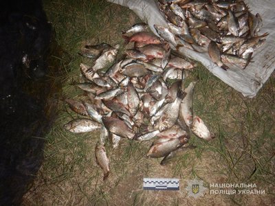 На Одещині рибалці повідомили про підозру в незаконному вилові риби На Одещині рибалці повідомили про підозру в незаконному вилові риби