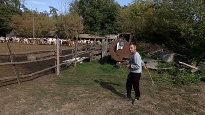 "Перевозили під обстрілами, бо ніхто не хотів їхати забирати ": як евакуювали телят на Чернігівщині "Перевозили під обстрілами, бо ніхто не хотів їхати забирати ": як евакуювали телят на Чернігівщині