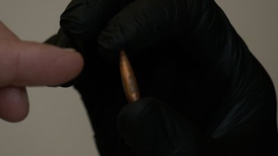 Справа про вбивство Даниїла Бельченка: на суді у Житомирі допитали свідків та досліджували кулю Справа про вбивство Даниїла Бельченка: на суді у Житомирі допитали свідків та досліджували кулю