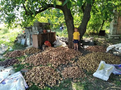 Історія багатодітної родини з Донеччини, які живуть на Рівненщині Історія багатодітної родини з Донеччини, які живуть на Рівненщині