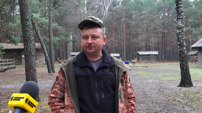 На Житомирщині понад 40 плямистих оленів утримують у розпліднику