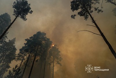 На Черкащині пʼяту добу продовжують гасити лісову пожежу На Черкащині пʼяту добу продовжують гасити лісову пожежу