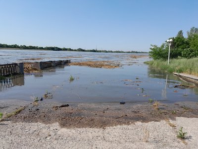 Науковці щодня фіксують наслідки екокатастрофи через підрив військами РФ Каховської ГЕС Науковці щодня фіксують наслідки екокатастрофи через підрив військами РФ Каховської ГЕС