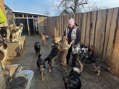 Конфлікт сусідів із зооволонтерами у Полтаві: як вирішують питання Конфлікт сусідів із зооволонтерами у Полтаві: як вирішують питання