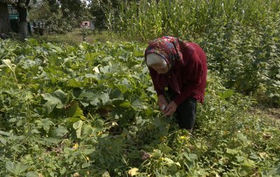 Довгожителька з Волині Меланія Шнит Довгожителька з Волині Меланія Шнит