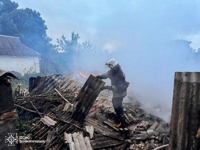 На Вінниччині під час пожежі загинули корова та теля На Вінниччині під час пожежі загинули корова та теля