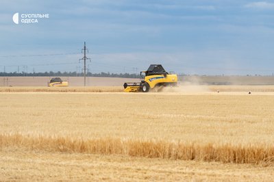 На Одещині розпочалися жнива: аграрії збирають озимий ячмінь і горох На Одещині розпочалися жнива: аграрії збирають озимий ячмінь і горох