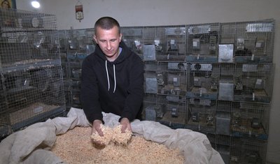 Купити підстилку для тварин, підстилка для шиншил, купання шиншил, шиншила Тернопіль, шиншила догляд Купити підстилку для тварин, підстилка для шиншил, купання шиншил, шиншила Тернопіль, шиншила догляд