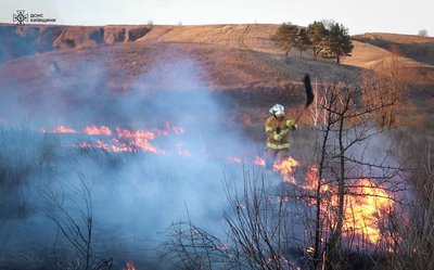 За два дні на Київщині виникли понад 130 пожеж в екосистемах