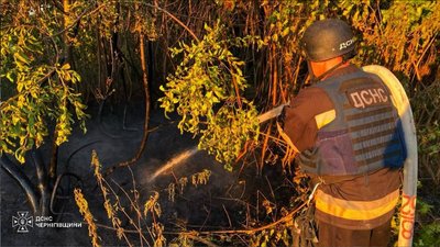 Атака на Чернігівщині: пошкоджене зерносховище та загорівся ліс внаслідок ударів БпЛА